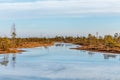 Nature landscape with icy cold marsh with frosty ground, ice on swamp lake and poor bog vegetation Royalty Free Stock Photo